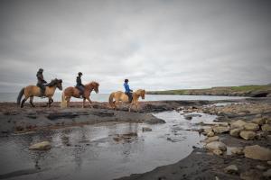 three people are riding horses on the beach at Saltvík Farm Guesthouse in Húsavík
