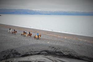 a group of people riding horses on the beach at Saltvík Farm Guesthouse in Húsavík