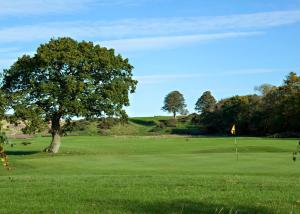 a tree on a golf course with a green at Eden Lodge Retreat in Crosby