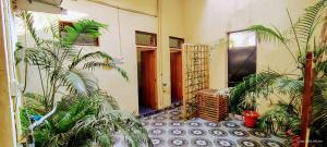 a room with potted plants on the floor of a building at Elite Heritage Stay in Puducherry +13 photos
