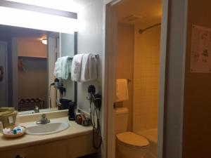 a bathroom with a sink and a toilet and a mirror at Ramada by Wyndham Nashville/Music Valley in Nashville