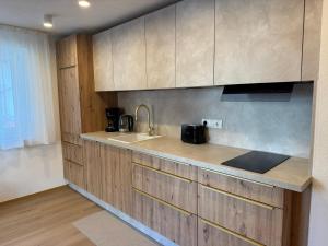 a kitchen with wooden cabinets and a sink at Appartement Wilhelm in Ehrwald