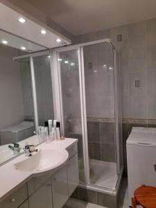 een badkamer met douche, wastafel en toilet bij Saint jean de monts in Saint-Jean-de-Monts