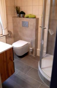 ein Badezimmer mit Toilette und Dusche in der Unterkunft Nordsee Haus An't Oll Deep in Dornumersiel
