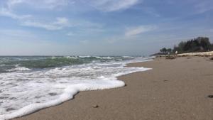 Naturlandskabet i nærheden af feriehuset + 13 billeder