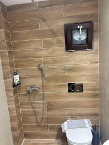 Un baño con ducha, inodoro y lavabo. en Tzovolos Apartments, en Kalavrita 61 fotos más