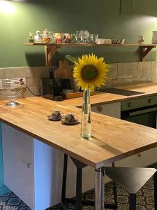 Køkken eller tekøkken på Charmante maison avec jardin à Marsac - 50 m²