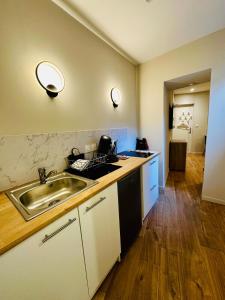 Køkken eller tekøkken på L'Ecrin du Mallarmé - WiFi - Neuf