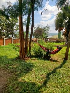 Κήπος έξω από το Victoria Stay