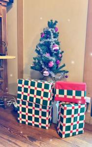 twee cadeaus onder een kerstboom in een kamer bij Le chalet bucolique au bord de l'eau in Olivet