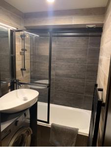 a bathroom with a shower and a sink at Charming studio with terrace and garden in Praz-sur-Arly