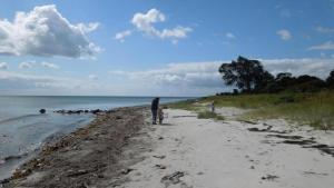 Příroda nedaleko prázdninového domu