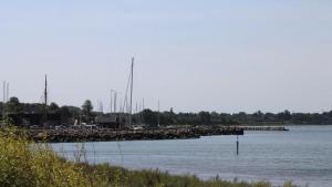 Příroda nedaleko prázdninového domu + 9 fotografií