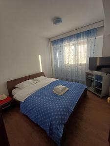 克拉约瓦Apartament Rovine的卧室里有一张床和一台电视机