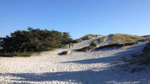 einen Sandstrand mit Bäumen an der Seite eines Hügels in der Unterkunft Villavilla #347 - Dueodde, Bornholm in Bedegård