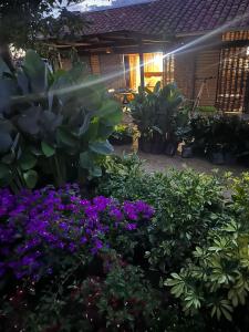 een tuin met paarse bloemen en planten voor een huis bij Hotel Ambil in Barichara