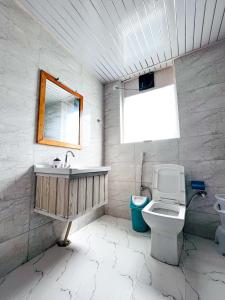 a bathroom with a toilet and a sink and a mirror at Apple Flower Mountain View Hotel in Manāli +20 photos