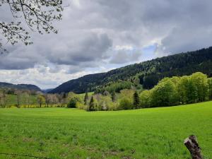 a large green field with trees in the background at Gîte À l'ombre du pommier in Ruynes-en-Margeride