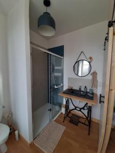 a bathroom with a shower and a table with a sink at Gîte À l'ombre du pommier in Ruynes-en-Margeride