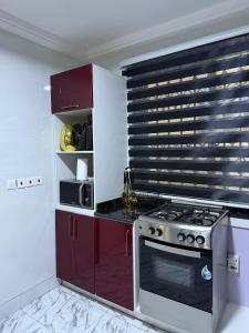 Kuchyň nebo kuchyňský kout v ubytování Restivana luxury living ltd