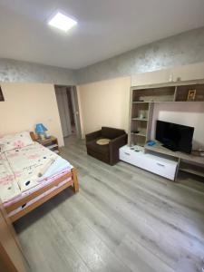 ein Schlafzimmer mit einem Bett und einer Couch und einem Fernseher in der Unterkunft Aparmani i sobe Cvetkovic in Sokobanja