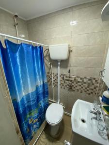 ein Badezimmer mit Toilette und Waschbecken in der Unterkunft Aparmani i sobe Cvetkovic in Sokobanja + 4 Fotos
