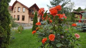 Zahrada ubytování Pensiunea Moldovan