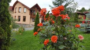 a garden with orange flowers in front of a house at Pensiunea Moldovan in Praid