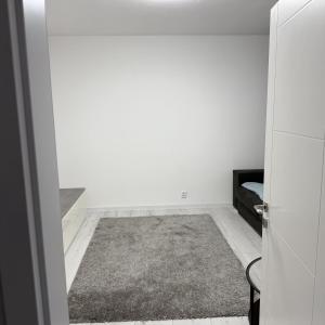 een witte kamer met een deur en een tapijt bij Byt 44m2 Ostrava Bělský les in Hrabŭvka