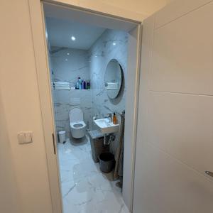 een badkamer met een wastafel, een toilet en een spiegel bij Byt 44m2 Ostrava Bělský les in Hrabŭvka