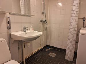 a bathroom with a sink and a toilet at Spacious Apartment for 5 in Sodankylä +6 photos