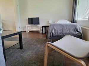 a living room with a bed and a tv at Spacious Apartment for 5 in Sodankylä