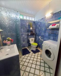 een badkamer met wasmachine en toilet bij Appartement Oslo in Sainte-Anne