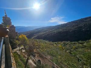 Naturlandskabet i nærheden af lejligheden