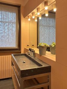 a bathroom with a sink and a large mirror at Parirolo B&B in Tresivio +36 photos
