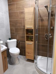 ein Badezimmer mit Toilette und Dusche in der Unterkunft Apartamenty LilaRóż in Brzozie Polskie + 36 Fotos