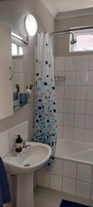 ein Badezimmer mit Waschbecken und Duschvorhang in der Unterkunft Penn's Place in Muizenberg