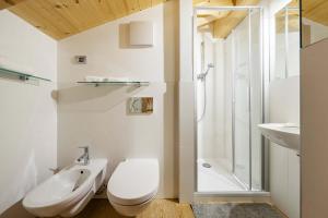 a bathroom with a toilet and a sink and a shower at Chalet Lacedel - Dolomiti Skyline in Cortina dʼAmpezzo