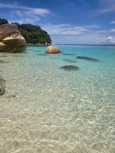 einen Strand mit Felsen im Wasser in der Unterkunft DEWATI ROOMSTAY B&B in Lang Tengah + 100 Fotos