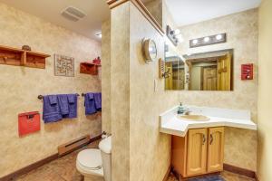 a bathroom with a toilet and a sink and a mirror at Crystal Mountain Resort Cabin: Golf, Hike, Swim! in Thompsonville +24 photos