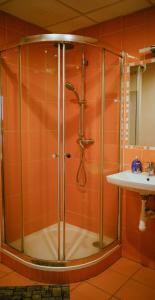 een badkamer met een douche en een wastafel bij Penzion Stará škola Klíny in Klíny