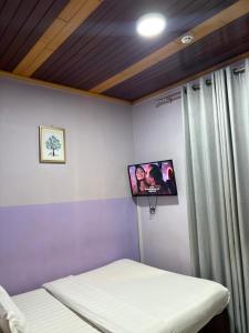 TV a/nebo společenská místnost v ubytování H-KREMLIN srl