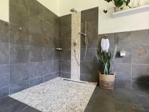 een badkamer met een douche en een potplant bij Kommetjie Mountain Oasis in Kommetjie +11 foto's