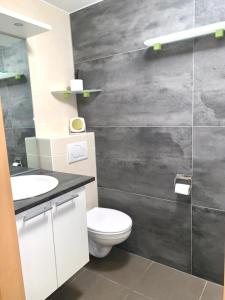 a bathroom with a toilet and a sink at Stijlvol appartement in hartje Oostende vlak bij het strand en de winkelstraat - 6p in Ostend +8 photos