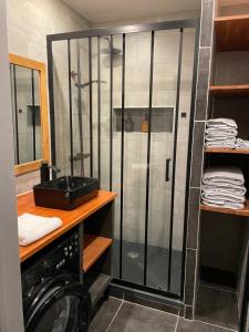 a bathroom with a shower and a washing machine at Appartement 3 Pièces, Neuvecelle in Neuvecelle