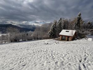 een kleine hut in een met sneeuw bedekt veld met bomen bij Le Crystalia in Prabert