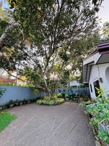 Ein Baum in der Mitte einer Einfahrt in der Unterkunft The Kadupul Villa in Ahungalla