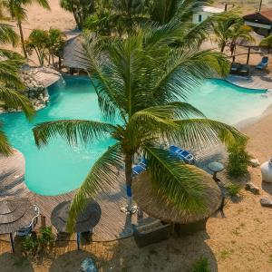 een luchtfoto van een zwembad met een palmboom bij Netu's Village Resort in Belas