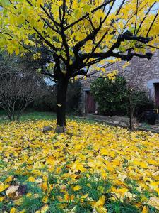 Vườn quanh L'Ostal des Embruscalles