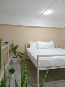 Gallery image of Tranquil Nest HOMESTAY in Sibsāgar